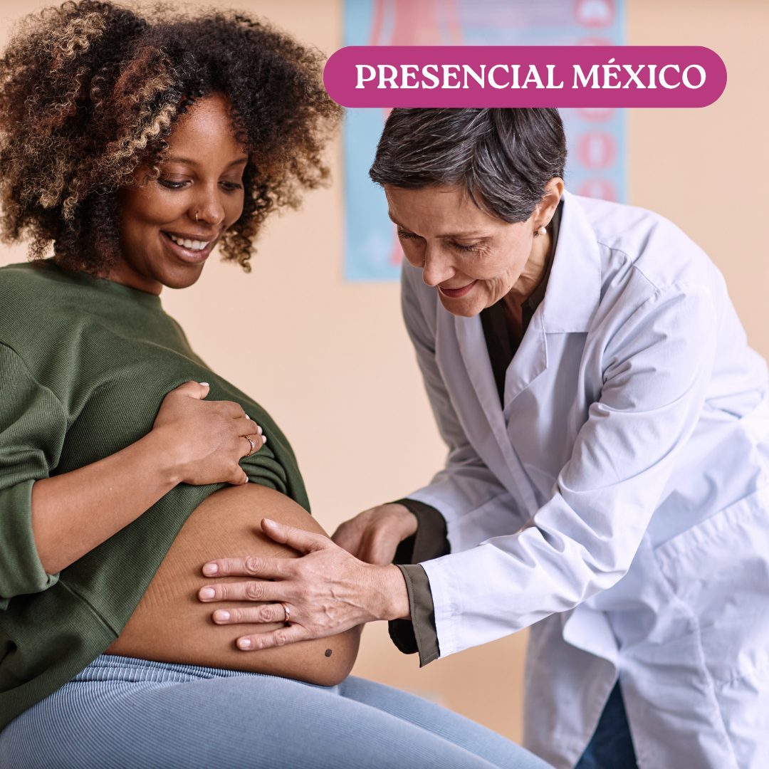 Curso Principios de atención en Salud Mental Perinatal en México