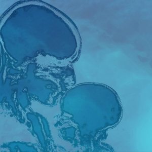 El cerebro parental: Neurociencia del embarazo y el posparto