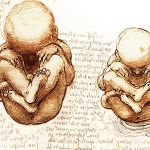 Psicología Prenatal