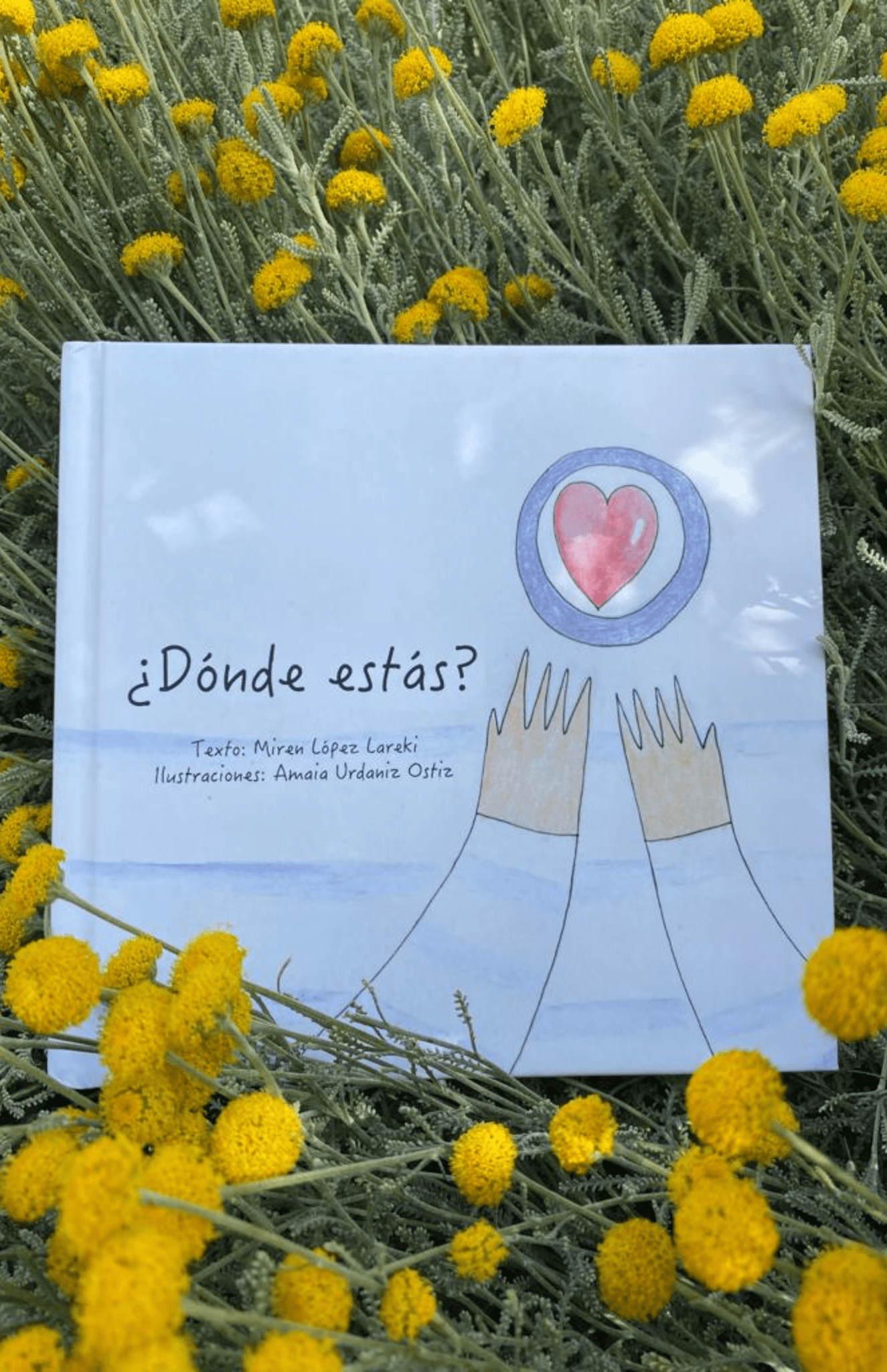donde estas